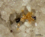 Eifel Mineralien Bellerberg Calciobetafit