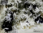 Eifel Mineralien Bellerberg Cuspidin