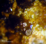 Mineralien Eifel Bellerberg Almandin