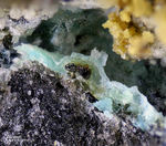 Eifel Mineralien Bellerberg Ellestadit