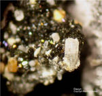 Eifel Mineralien Bellerberg Davyn