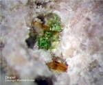Eifel Mineralien Bellerberg Diopsit