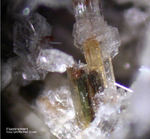 Eifel Mineralien Bellerberg Fluororichterit