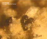 Eifel Mineralien Bellerberg Grossular