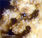 Eifel Mineralien Bellerberg Grossular