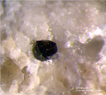 Eifel Mineralien Bellerberg Grossular