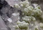 Eifel Mineralien Arensberg Prehnit