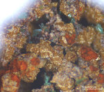 Griechenland Lavrion Mineralien Christiana Argentojarosit