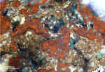 Griechenland Lavrion Mineralien Christiana Argentojarosit