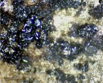 Griechenland Mineralien Laurion Hilarion Hetaerolith