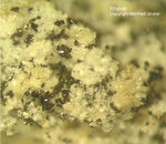 Eifel Mineralien Bellerberg Rhönit