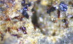 Eifel Mineralien Bellerberg Rhönit