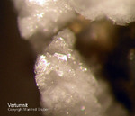 Eifel Mineralien Bellerberg Vertumnit 