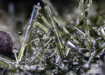 Eifel Bellerberg vulkanisches Glas