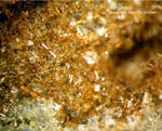 Eifel Mineralien Emmelberg Amphibol