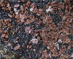 Eifel Mineralien Emmelberg Amphibol