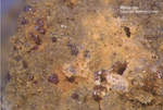 Eifel Mineralien Emmelberg Almandin