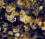 Eifel Mineralien Graulei Chabasit