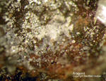 Eifel Mineralien Berzeliushütte Aragonit