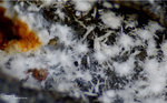 Eifel Mineralien Berzeliushütte Aragonit