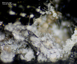 Eifel Mineralien Berzeliushütte Stolberg Brianyoungit