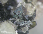 Eifel Mineralien Graulei Magnetit
