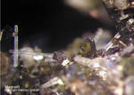 Eifel Mineralien Graulei Magnetit