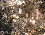 Eifel Mineralien Graulei Magnetit