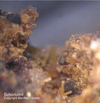 Eifel Mineralien Graulei Schorlomit
