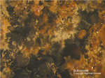 Eifel Mineralien Graulei Schorlomit