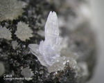 Eifel Mineralien Hannebacher Ley Calcit