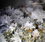 Eifel Mineralien Hannebacher Ley Calcit