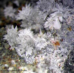 Eifel Mineralien Hannebacher Ley Calcit