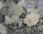 Eifel Mineralien Hannebacher Ley Calcit