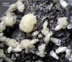 Eifel Mineralien Hannebacher Ley Calcit