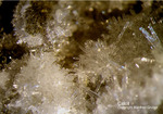Eifel Mineralien Hannebacher Ley Calcit