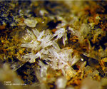 Eifel Mineralien Hannebacher Ley Calcit