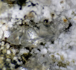 Eifel Mineralien Hannebacher Ley Calcit