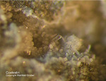 Eifel Mineralien Hannebacher Ley Coelestin