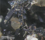 Eifel Mineralien Liley Perowskit