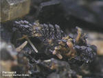 Eifel Mineralien Liley Perowskit
