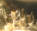 Eifel Mineralien Liley Perowskit