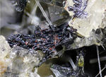 Eifel Mineralien Liley Perowskit