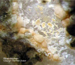 Eifel Mineralien Liley Rhabdophan