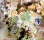 Mineralien Griechenland Lavrion Hilarion Atelesit