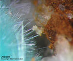 Mineralien Griechenland Lavrion Hilarion Atelesit