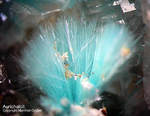 Mineralien Griechenland Lavrion Hilarion Aurichalcit