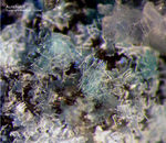 Mineralien Griechenland Lavrion Hilarion Aurichalcit