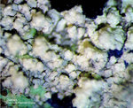 Griechenland Lavrion Mineralien Hilarion Gibbsit