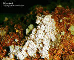 Griechenland Lavrion Mineralien Hilarion Fibroferrit